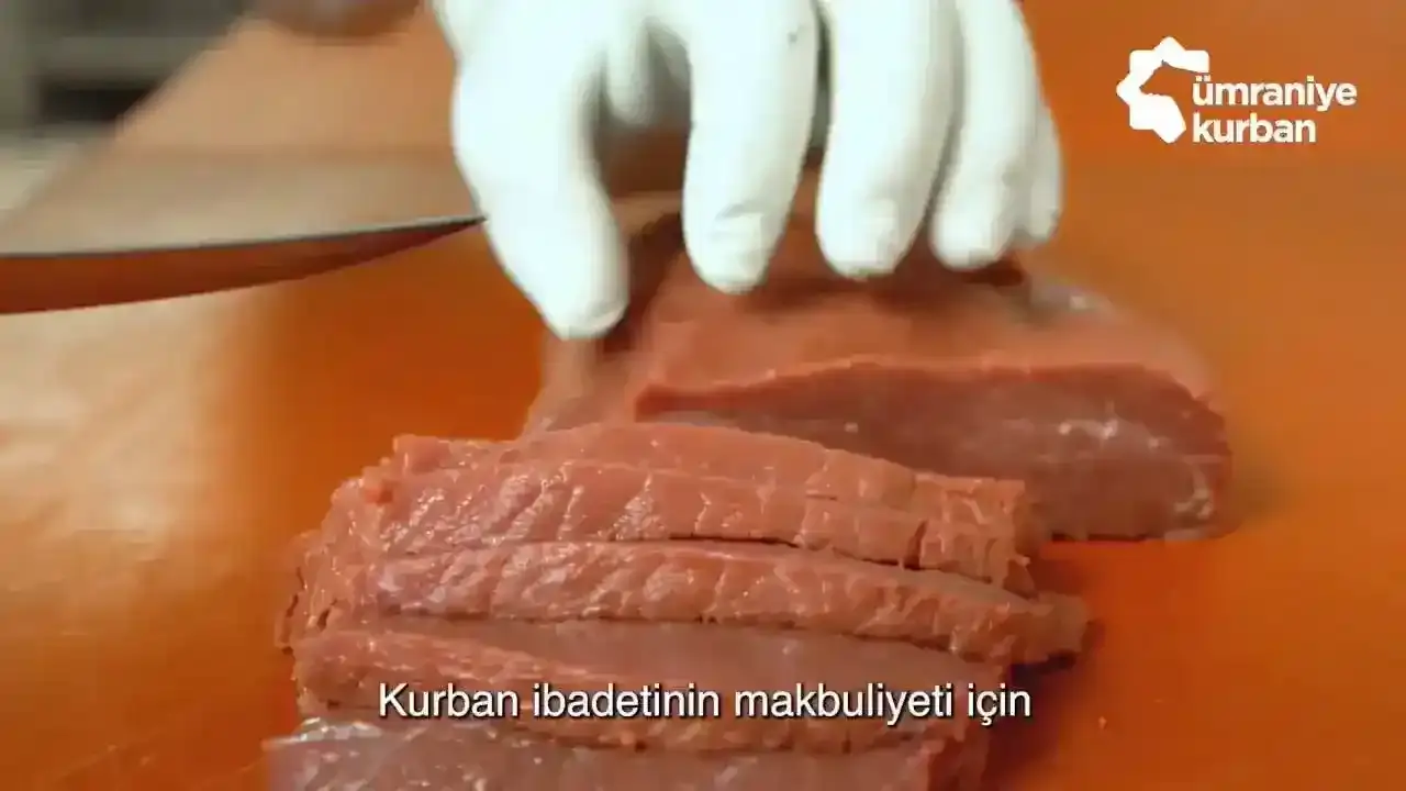 Özel Seçim İşlem Kasaplık Hizmeti